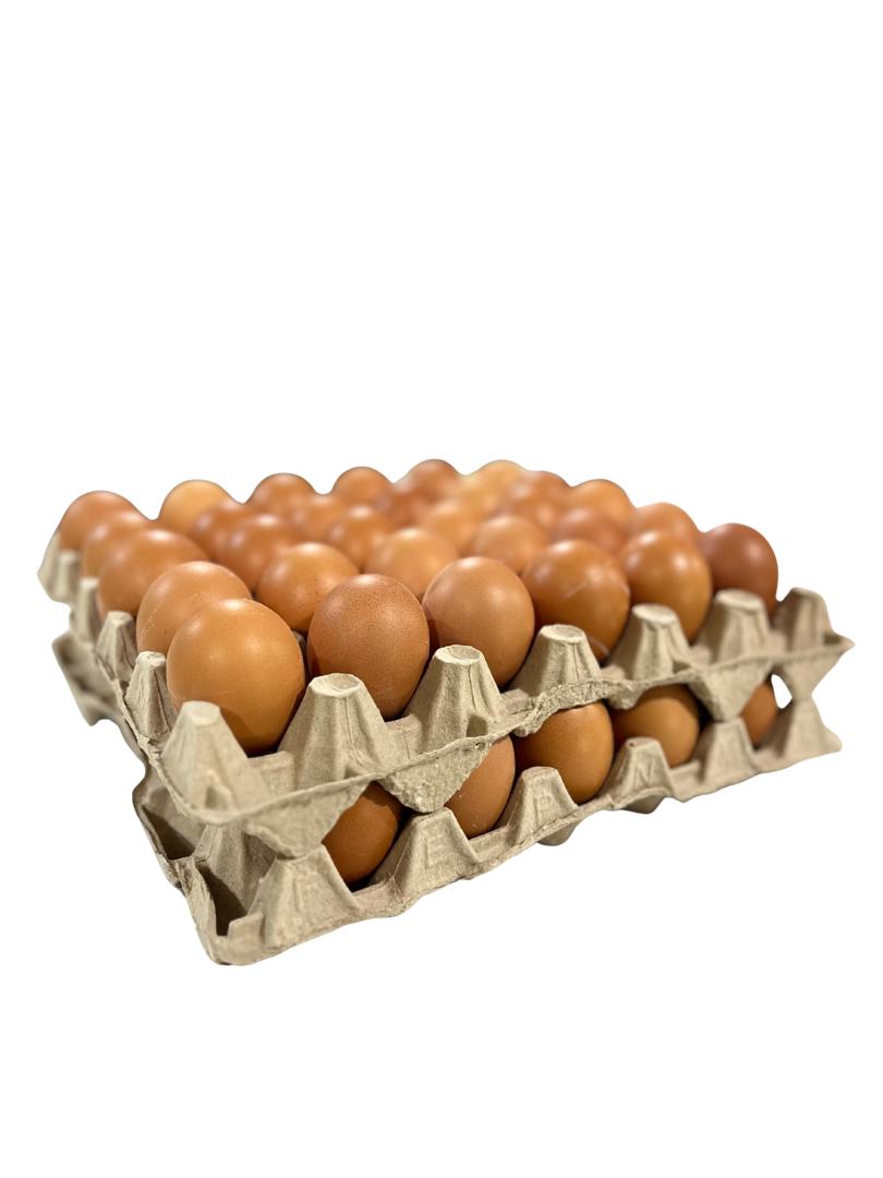 Uova fresche di gallina - Cassa da 30 uova